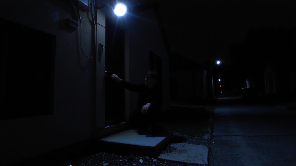 cameras and lighting deter burglars